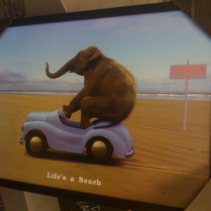 elefante elefante