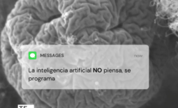 AI redes 2